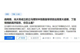 淮阳为什么选择专业追讨公司来处理您的债务纠纷？